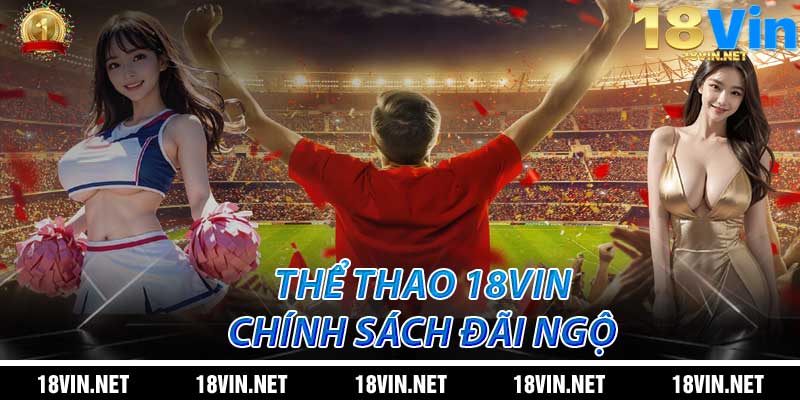 Chính sách đãi ngộ tại Thể Thao 18Vin
