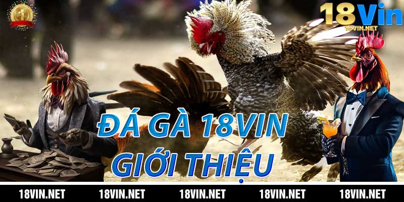 Đá Gà 18Vin: Giới thiệu tổng quan