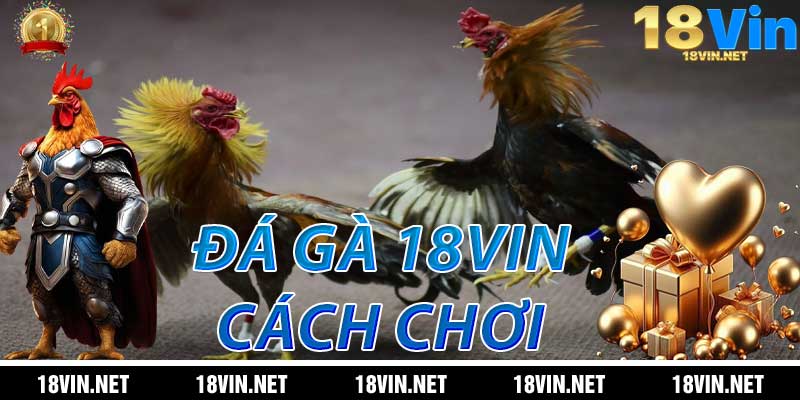 Cách chơi Đá Gà 18Win