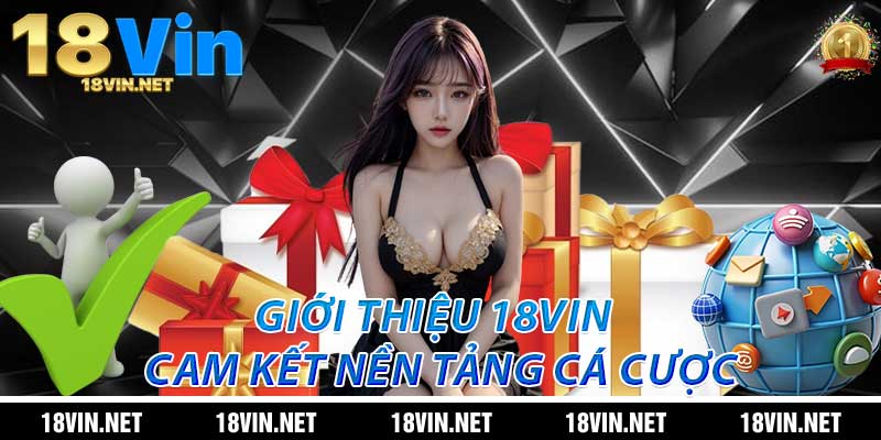 Giới Thiệu 18Vin Và Cam Kết Nền Tảng Cá Cược